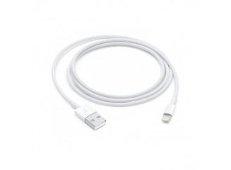 Apple Cabo USB Carregador Lightning para iPhone 