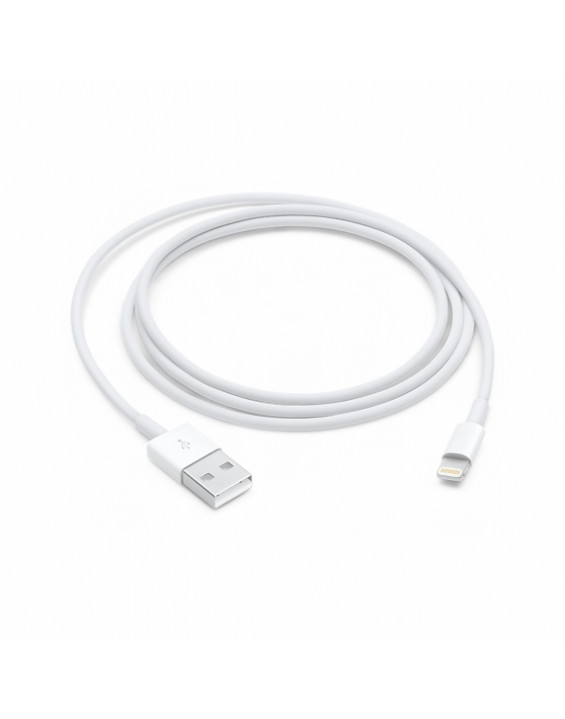 Apple Cabo USB Carregador Lightning para iPhone 