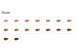 Physicians Formula Base the Healthy Foundation SPF20 